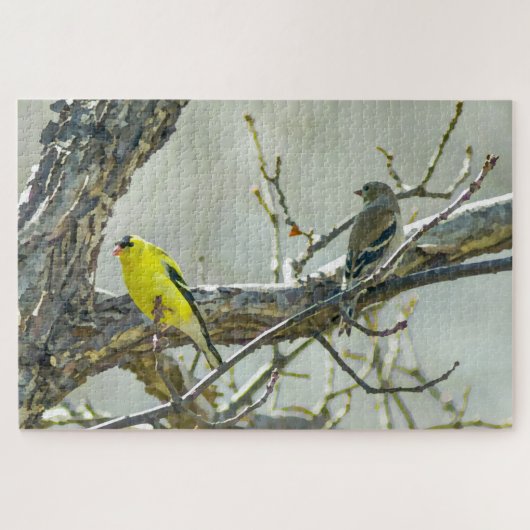 Goldfinch Male en Vrouw Bird Lover Legpuzzel (Horizontaal)