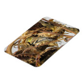 Goldfinch met zonnebloempitten magneet (Linkerzijde)