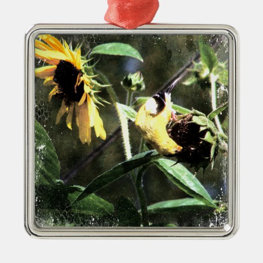 Goldfinch Metalen Ornament (Voorkant)