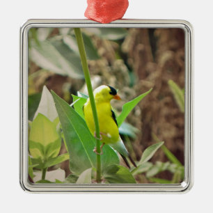 Goldfinch Metalen Ornament
