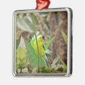 Goldfinch Metalen Ornament (Links)