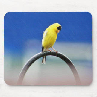 Goldfinch Mousepad Muismat