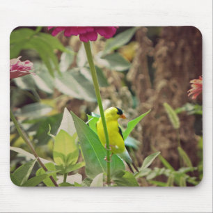 Goldfinch Muismat
