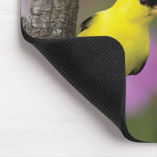 Goldfinch Muismat (Hoek)