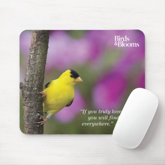 Goldfinch Muismat (Met muis)