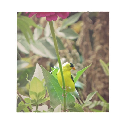 Goldfinch Notitieblok (Voorkant)