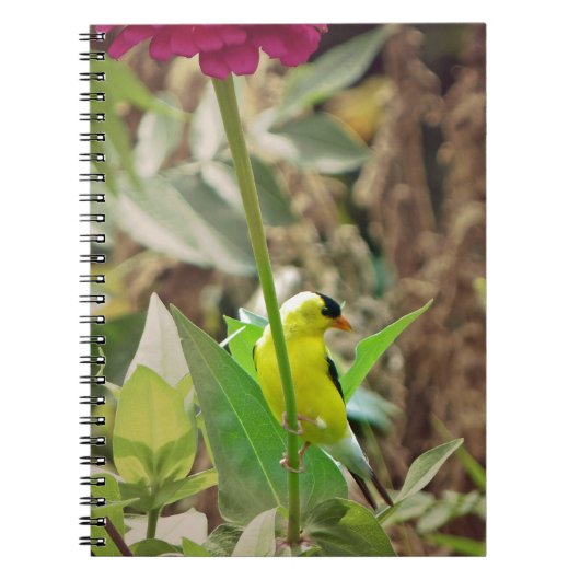 Goldfinch Notitieboek (Voorkant)