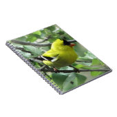 Goldfinch Notitieboek (Rechterzijde)