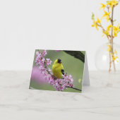 Goldfinch op bloeiende Redbud Tree Branch Kaart (Gele Bloem)