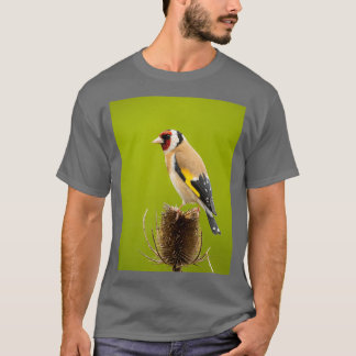 Goldfinch op de teasel t-shirt