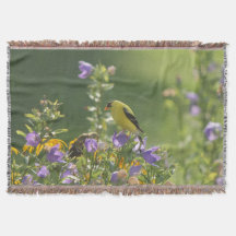 Goldfinch op een Harebell Flower