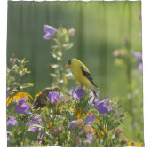 Goldfinch op een Harebell Flower Douchegordijn (Voorkant)