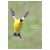 Goldfinch op een Harebell Flower Klembord (Achterkant)