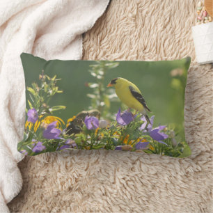 Goldfinch op een Harebell Flower Kussen