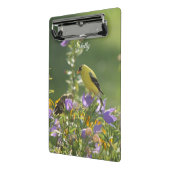 Goldfinch op een Harebell Flower Mini Klembord (Angled2)
