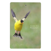 Goldfinch op een Harebell Flower Mini Klembord (Achterkant)