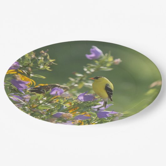 Goldfinch op een Harebell Flower Papieren Bordje (Gekanteld)