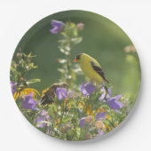 Goldfinch op een Harebell Flower Papieren Bordje (Voorkant)