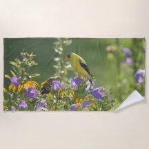 Goldfinch op een Harebell Flower