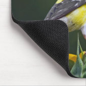 Goldfinch op een Muismat voor zonnebloemen (Hoek)