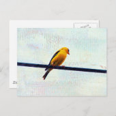 Goldfinch op een stroomlijn briefkaart (Voorkant / Achterkant)