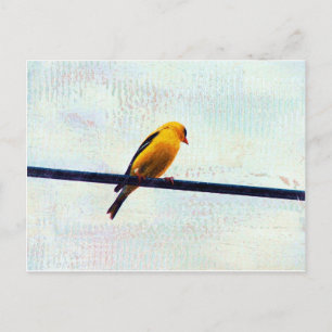 Goldfinch op een stroomlijn briefkaart