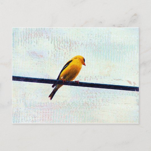 Goldfinch op een stroomlijn briefkaart (Voorkant)