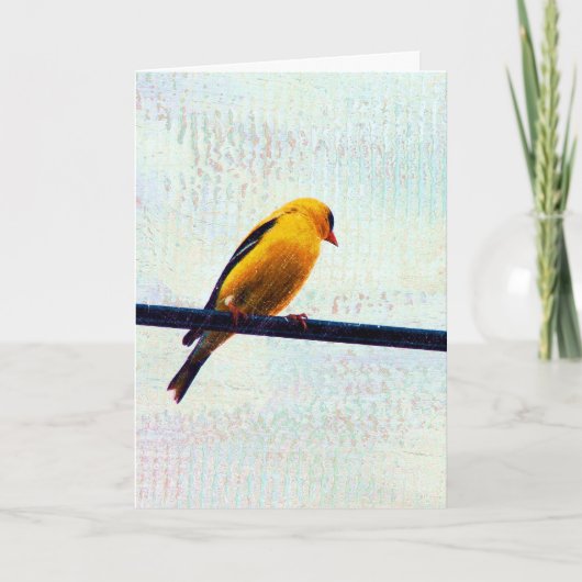 Goldfinch op een stroomlijn kaart (Voorkant)