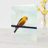 Goldfinch op een stroomlijn kaart (Gele Bloem)