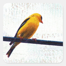 Goldfinch op een stroomlijn vierkante sticker