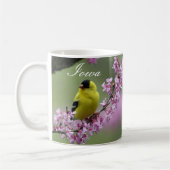 Goldfinch op Redbud Branch, Iowa State Bird Mok (Links)