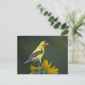 Goldfinch op zonnebloem briefkaart (Staand voorkant)