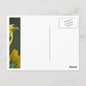 Goldfinch op zonnebloem briefkaart (Achterkant)