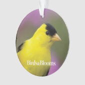 Goldfinch Ornament (voorkant)