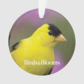 Goldfinch Ornament (voorkant)