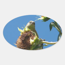 Goldfinch Ovale Sticker
