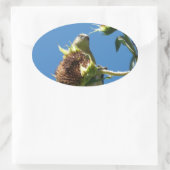 Goldfinch Ovale Sticker (Tas)
