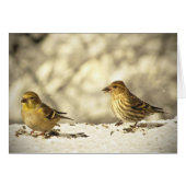 Goldfinch & Pine Siskin Blank Card (Voorkant Horizontaal)