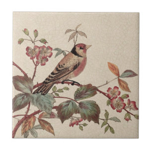 Goldfinch Polychrome Staffordshire Repro Antiek Tegeltje
