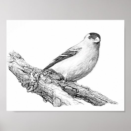 Goldfinch Poster (Voorkant)