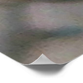 Goldfinch Poster (Hoek)