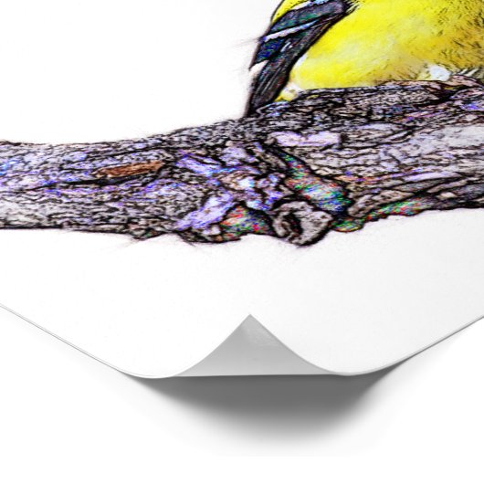 Goldfinch Poster (Hoek)