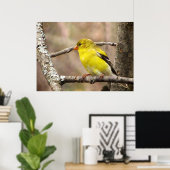 Goldfinch Poster (Thuiskantoor)