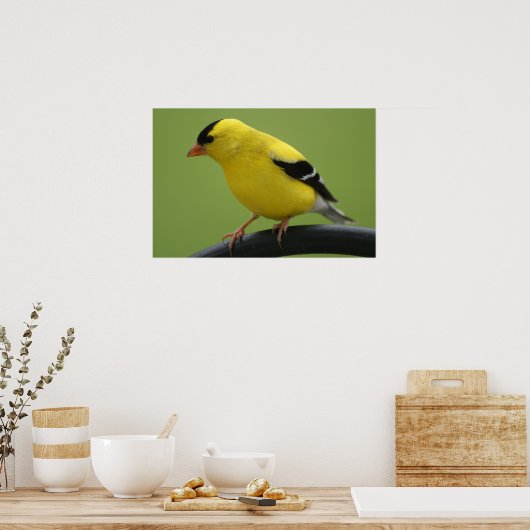 Goldfinch Print (Keuken)