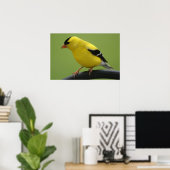 Goldfinch Print (Thuiskantoor)