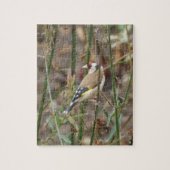 Goldfinch Puzzle Legpuzzel (Verticaal)