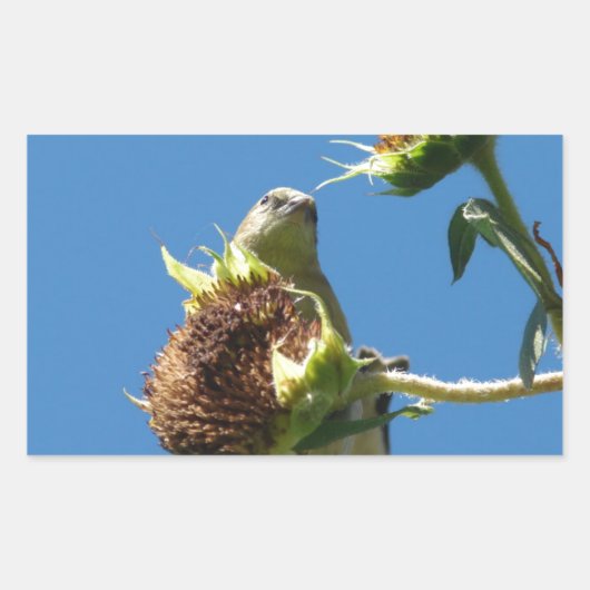 Goldfinch Rechthoekige Sticker (Voorkant)