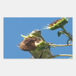 Goldfinch Rechthoekige Sticker