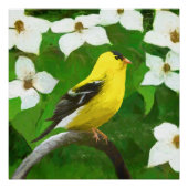 Goldfinch schilderen - Kute Original Dog Art Perfect Poster (Voorkant)