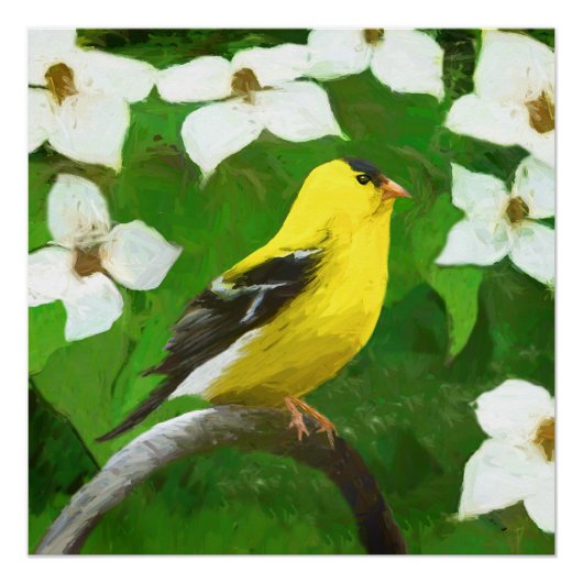 Goldfinch schilderen - Kute Original Dog Art Perfect Poster (Voorkant)